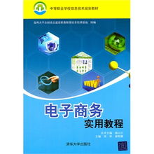 电子商务实用教程 信息技术与战略实务的中职生指南