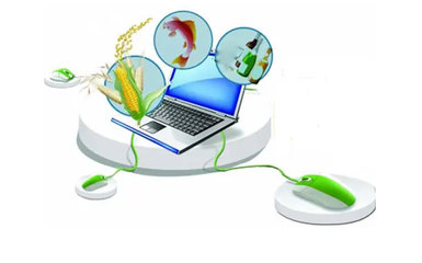 农业电商系统功能清单及技术咨询解析